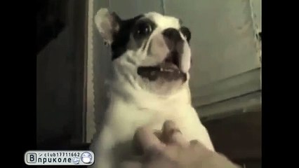 Райское наслаждение