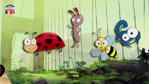 The Amazing Spider/Scorpion/Bugs/Bee/Ant Nursery Rhymes for Childrens Babies