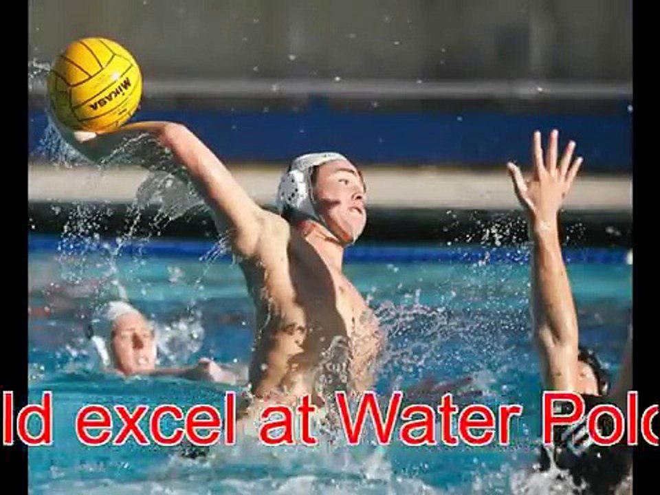 Soccer playing dog lab/pitbull dog adoption Arizona rescue g