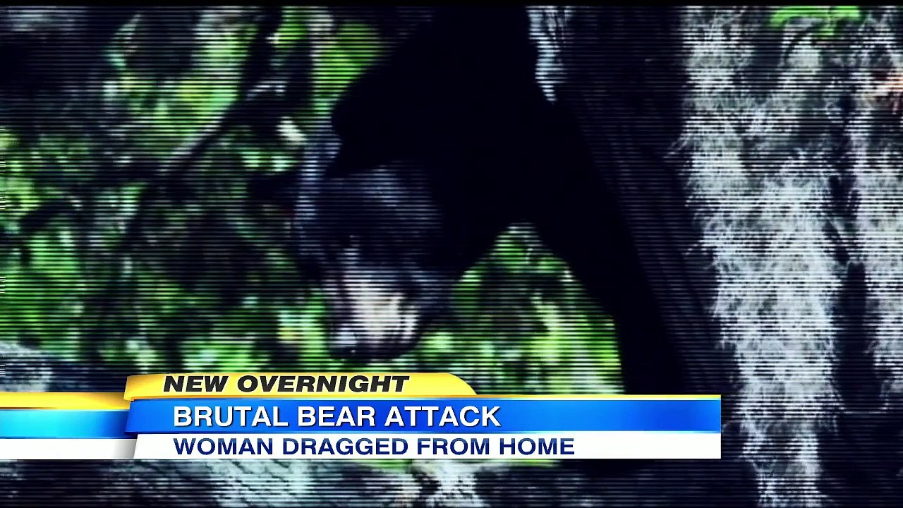 Brutal Bear Attack in Florida