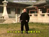 Chen Xiaojia Taijiquan  Yi-lu w/Chen Yong-Fu