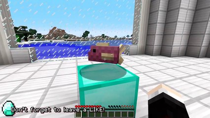 Minecraft | 5 SECRETS ABOUT DR TRAYAURUS!!