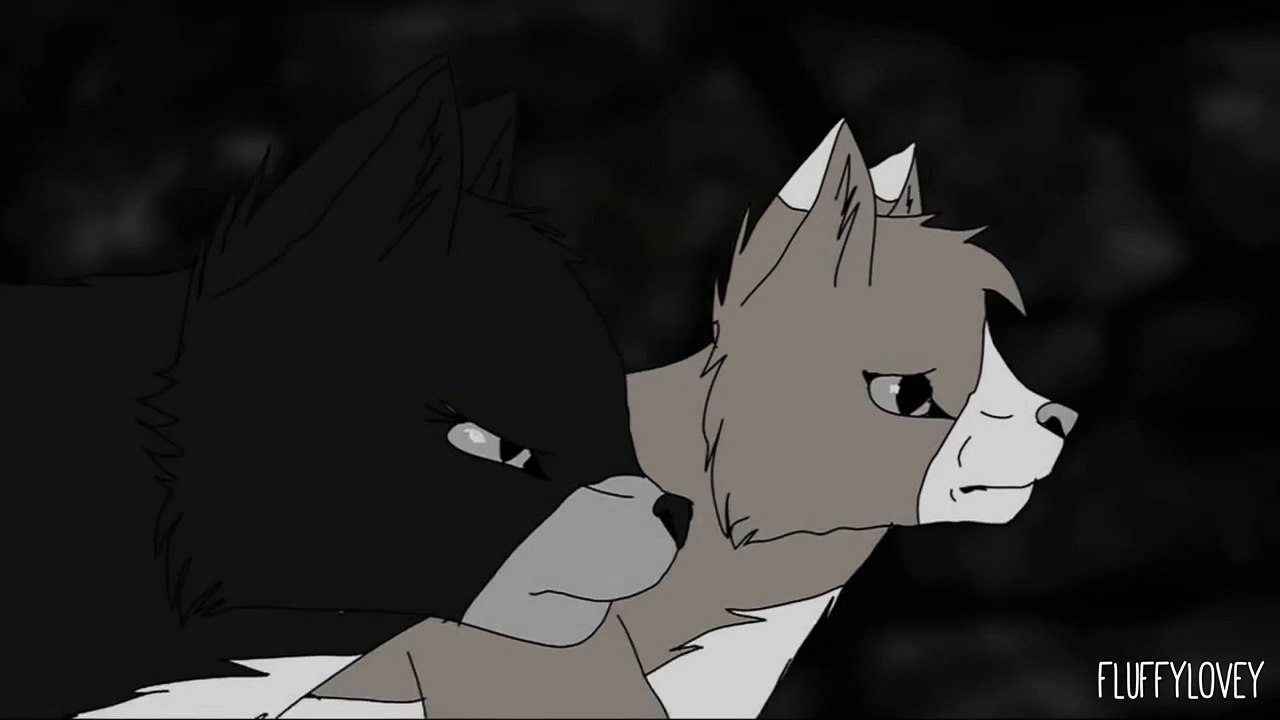 NO NEED FOR A LEADER - Warrior Cats MAP [COMPLETE]