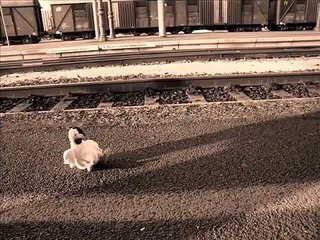 Modena, stazione di Modena