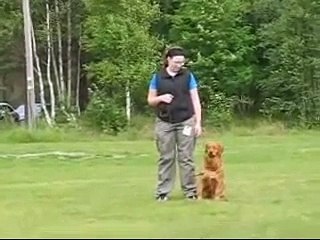 Tävling Nordmaling Chaos 080712