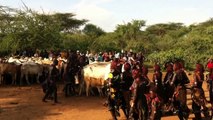 Lower Omo Valley : Bull-Jumping Ceremony Of The Hamer Tribe in Turmi