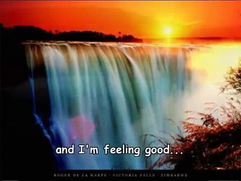 Michael Buble - Feeling Good - Lyrics