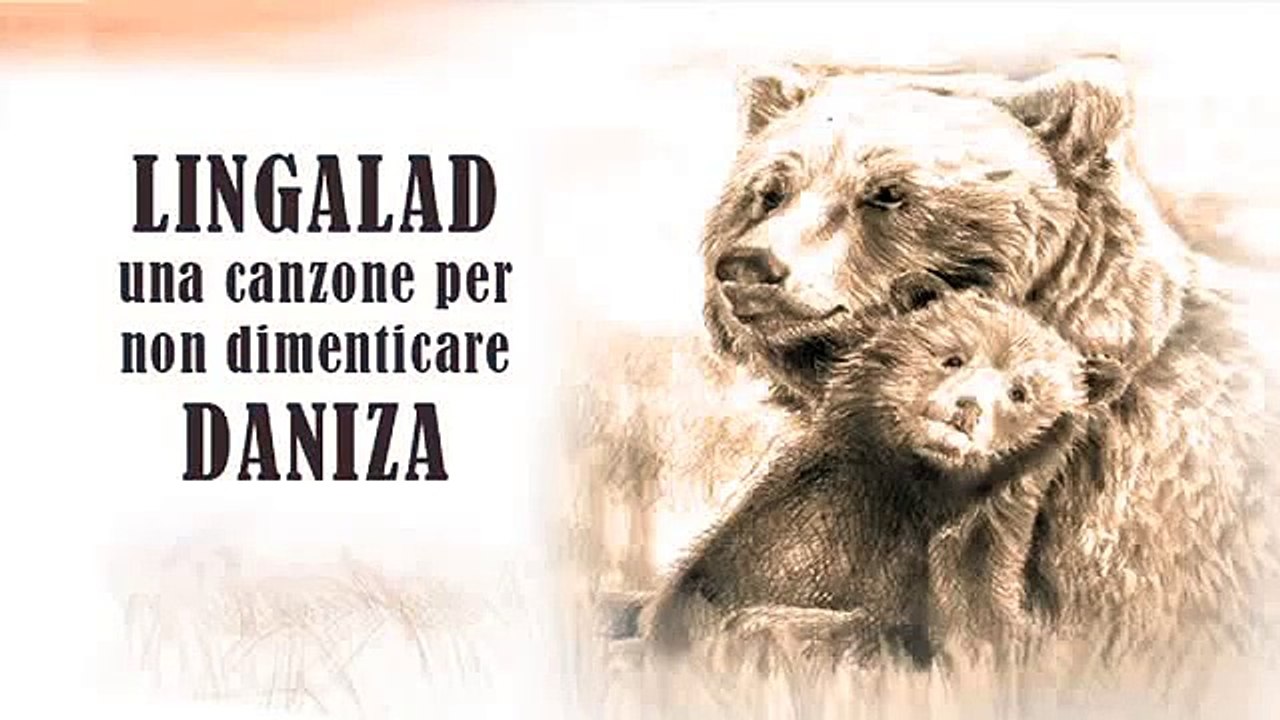 La grande orsa LINGALAD