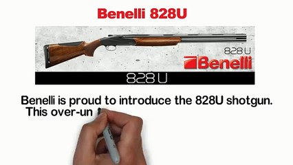 Top 5 Semi-Automatic Shotgun For Hunter From Benelli