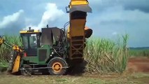 Mechanized Sugarcane Harvest in Brazil