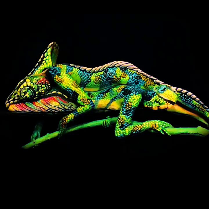 Amazing Color Harmony