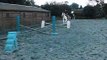 Show jumping practice on my cob October grid work horse fall