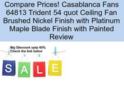 Casablanca Fans 64813 Trident 54 quot Ceiling Fan Brushed Nickel Finish with Platinum Maple Blade Finish with Painted Review