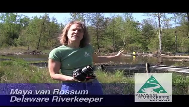 Delaware Riverkeeper video natural gas pipeline wetlands destruction #2.mov