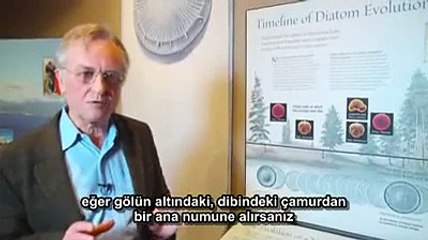 Diatomlar - Yeni bir Türün Evrimi