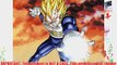 FUNimation - Dragon Ball Z - Dragon Ball Z Vegeta - Apple MacBook Pro 13 - Skinit Skin