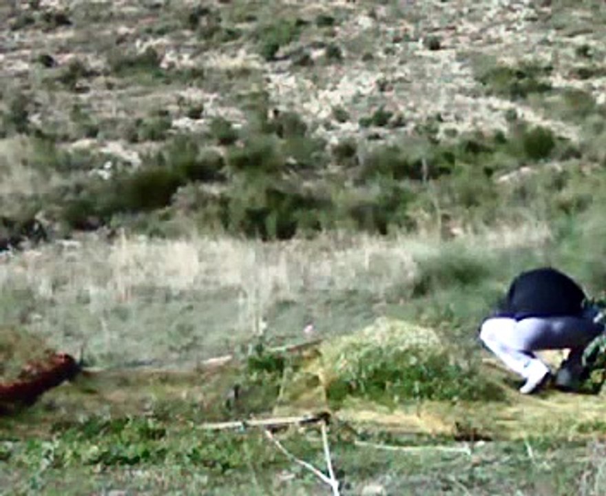 CAZA ULTIMO JILGUERO TEMPORADA