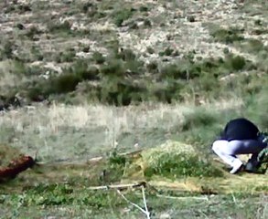 CAZA ULTIMO JILGUERO TEMPORADA