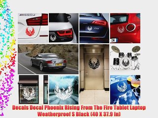 Descargar video: Decals Decal Phoenix Rising From The Fire Tablet Laptop Weatherproof S Black (40 X 37.9 In)