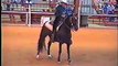 Whippoorwill Newmoon Reining 1994