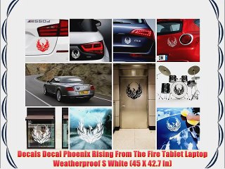 Video herunterladen: Decals Decal Phoenix Rising From The Fire Tablet Laptop Weatherproof S White (45 X 42.7 In)