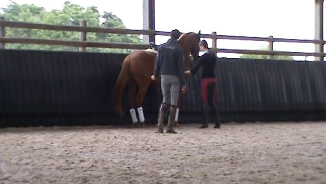 Stage avec Pierre Beaupère - 20 juin 2015 - Ody piaffer en main