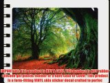 Nature - Beech Trees - MacBook Pro 13 (2009/2010) - Skinit Skin