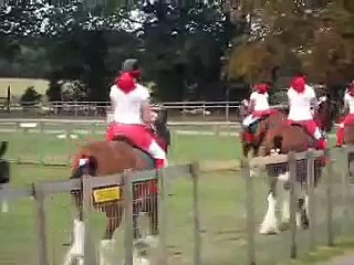 Girls galloping heavy horses