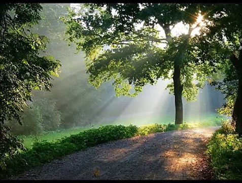 Türkei Colakli Side CLUB MAGIC LIFE Jacaranda Imperial (1)