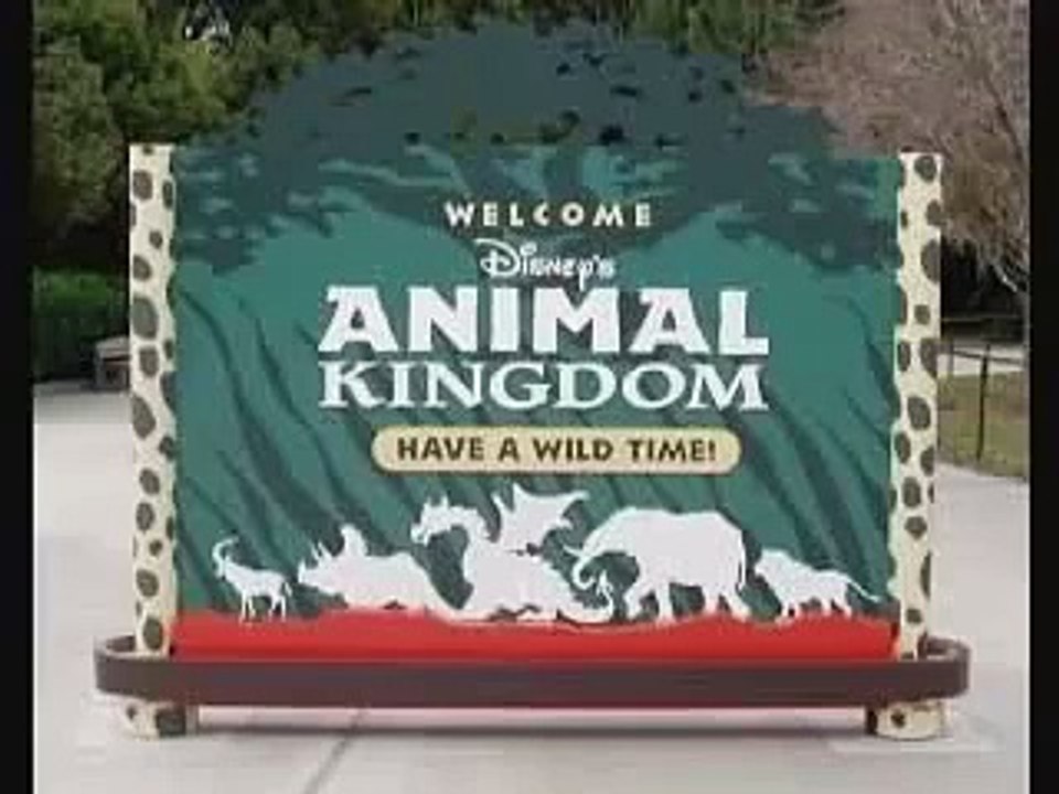 Florida: Disney Animal Kingdom