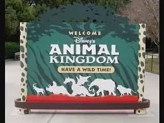 Florida: Disney Animal Kingdom