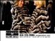 Fur Coats, Fur Coat, Mink Jackets, Mens Fur Coats, Womens Fur Coats