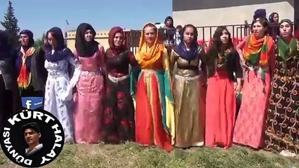 VİRAN ŞEHİR HALAYLARI BUNU SONUNA KADAR İZLEMELİSİNİZ