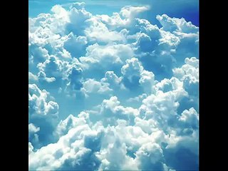 سورة الفجر سلمان العتيبي