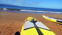 Whales Singing on Maui