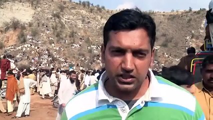 Dog fights illegal but still popular in Pakistan