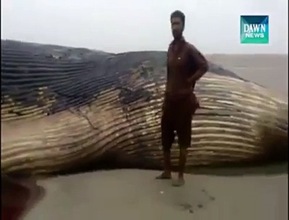 Karachi ke sahil pe ek ajeebo gareeb cheez Must Watch