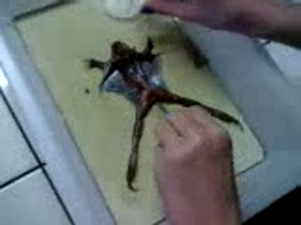Guilberta