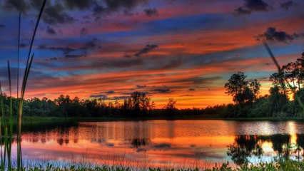 渔舟唱晚 fishing boat & sunset - 古筝名曲