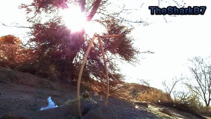 مصيدة طيور | Birds trap " البلبل السوري "