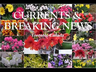 Is Toronto's Glen Murray Disrespectful or Insensitive?