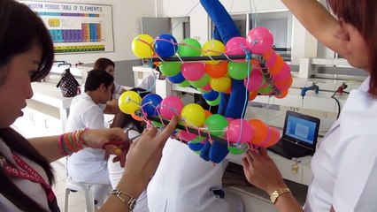 FLUID MOSAIC MODEL