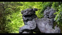 箱根神社のパワースポット 狛犬（箱根の開運スポット）