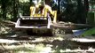 Tree Wood Chipper and Tree Removal with Ace trees chipper and bobcat