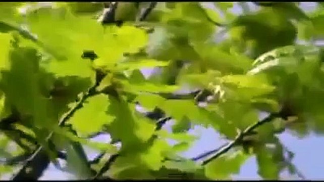 من أروع المقاطع : عظمة الله - مبكي ومؤثر -