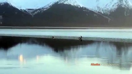 Spring bore tide along Turnagain Arm in Alaska