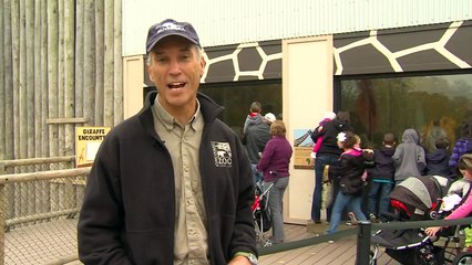 Giraffe Gets Name - Cincinnati Zoo