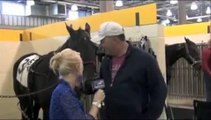 Funny Cute Friendly Horse Crashes TV Interview