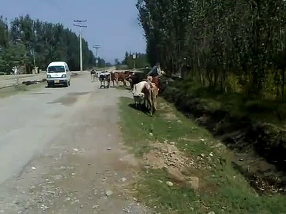 Feeding Baby on Road side