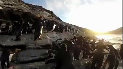 Tudischers alla riscossa